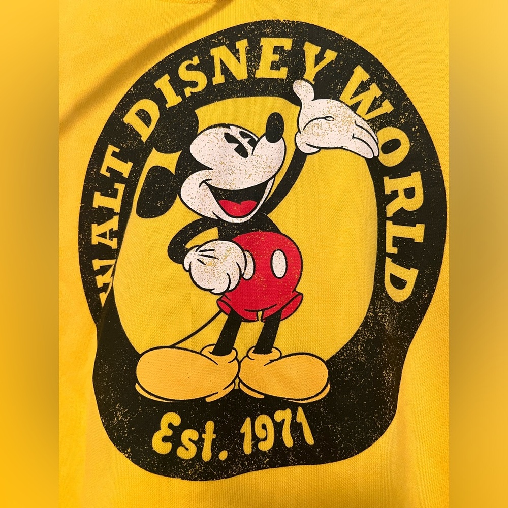 New and never worn! Mickey Sweatshirt from Disney World 🌎